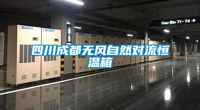 四川成都無(wú)風(fēng)自然對流恒溫箱