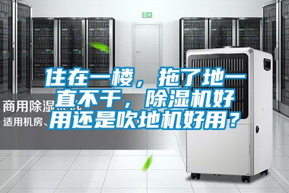 住在一樓，拖了地一直不干，除濕機好用還是吹地機好用？