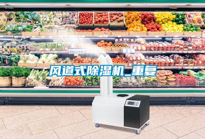 風(fēng)道式除濕機_重復