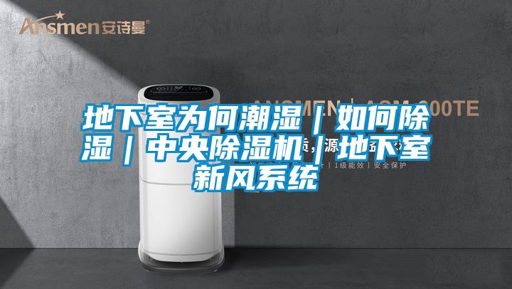 地下室為何潮濕｜如何除濕｜中央除濕機｜地下室新風(fēng)系統