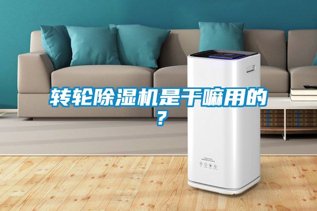 轉輪除濕機是干嘛用的？
