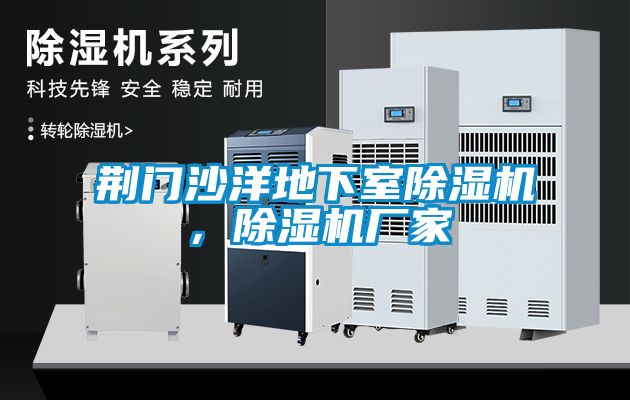 荊門(mén)沙洋地下室除濕機，除濕機廠(chǎng)家