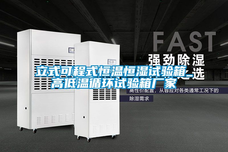 立式可程式恒溫恒濕試驗箱_高低溫循環(huán)試驗箱廠(chǎng)家