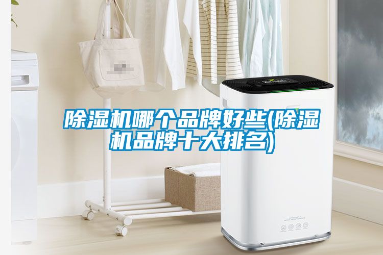 除濕機哪個(gè)品牌好些(除濕機品牌十大排名)