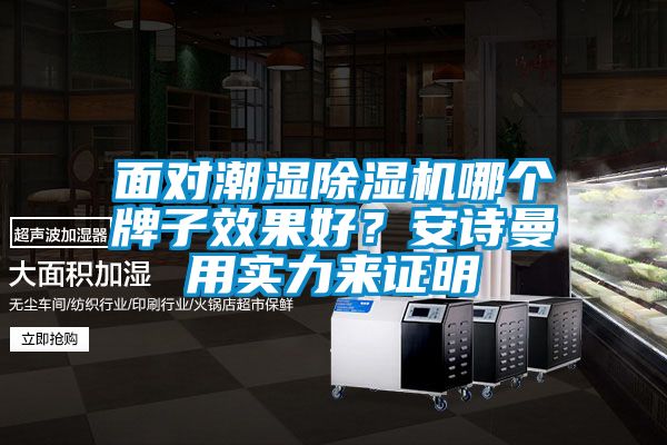 面對潮濕除濕機哪個(gè)牌子效果好？安詩(shī)曼用實(shí)力來(lái)證明