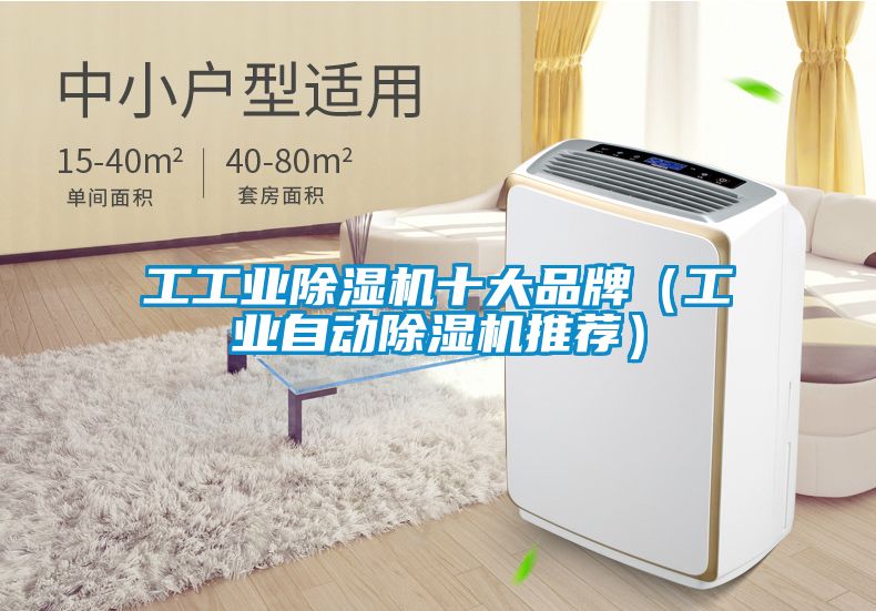 工工業(yè)除濕機十大品牌（工業(yè)自動(dòng)除濕機推薦）