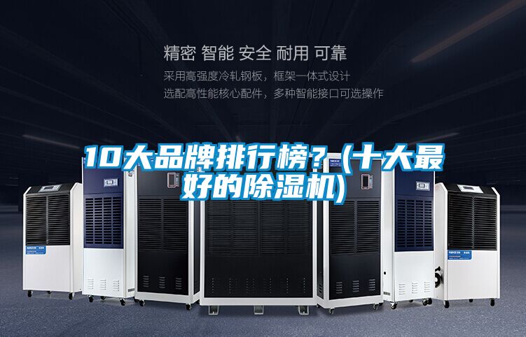 10大品牌排行榜？(十大最好的除濕機)