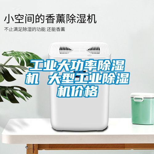 工業(yè)大功率除濕機 大型工業(yè)除濕機價(jià)格