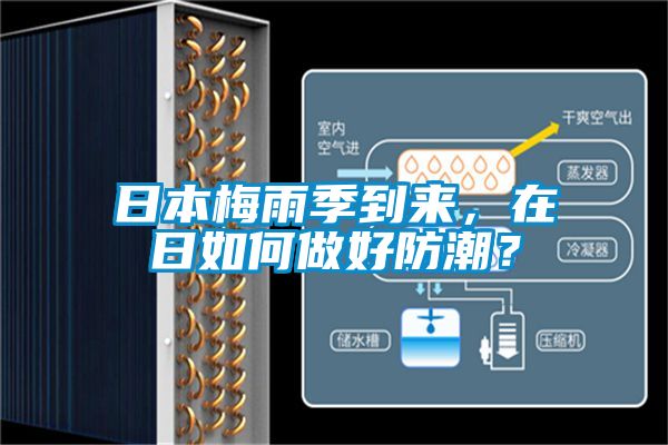 日本梅雨季到來(lái)，在日如何做好防潮？
