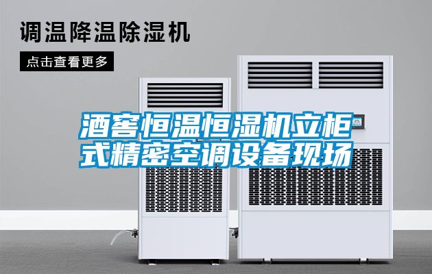 酒窖恒溫恒濕機立柜式精密空調設備現場(chǎng)