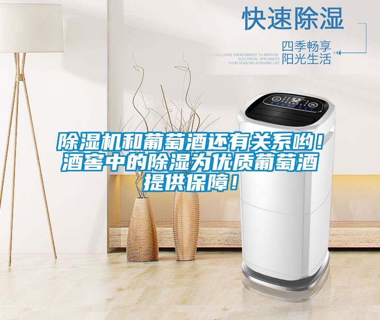 除濕機和葡萄酒還有關(guān)系喲！酒窖中的除濕為優(yōu)質(zhì)葡萄酒提供保障！