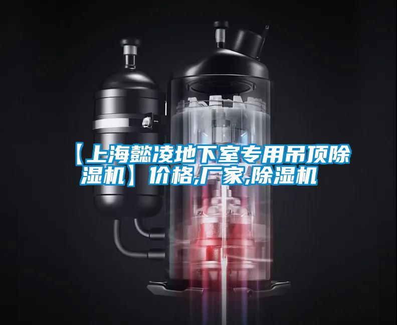 【上海懿凌地下室專(zhuān)用吊頂除濕機】?jì)r(jià)格,廠(chǎng)家,除濕機