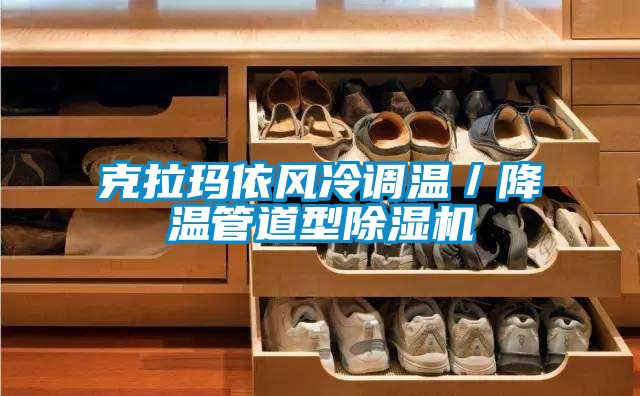 克拉瑪依風(fēng)冷調溫／降溫管道型除濕機