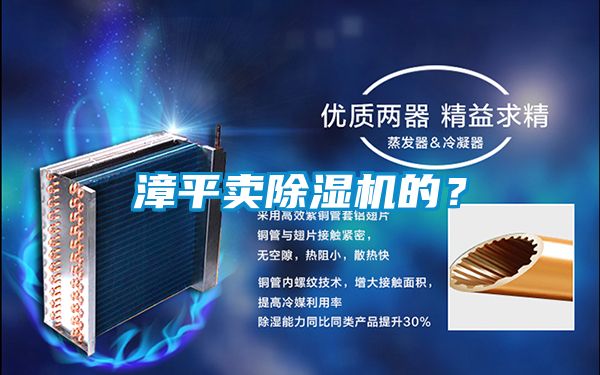漳平賣(mài)除濕機的？