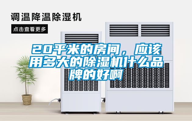 20平米的房間，應該用多大的除濕機什么品牌的好啊