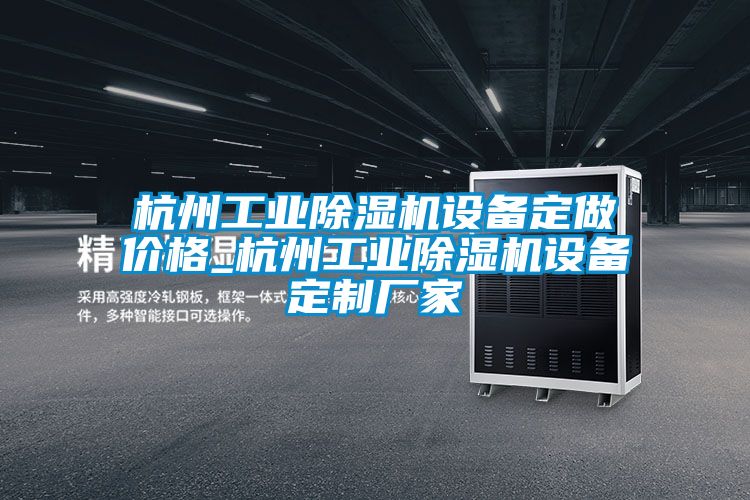 杭州工業(yè)除濕機設備定做價(jià)格_杭州工業(yè)除濕機設備定制廠(chǎng)家