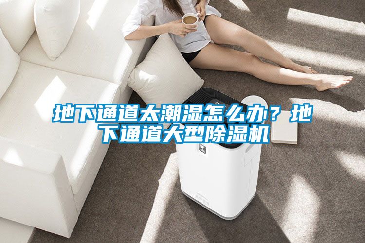地下通道太潮濕怎么辦？地下通道大型除濕機