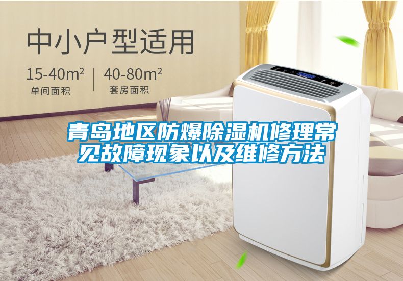 青島地區防爆除濕機修理常見(jiàn)故障現象以及維修方法
