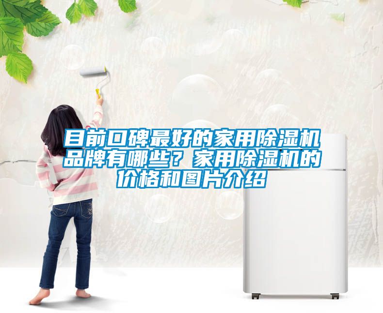 目前口碑最好的家用除濕機品牌有哪些？家用除濕機的價(jià)格和圖片介紹