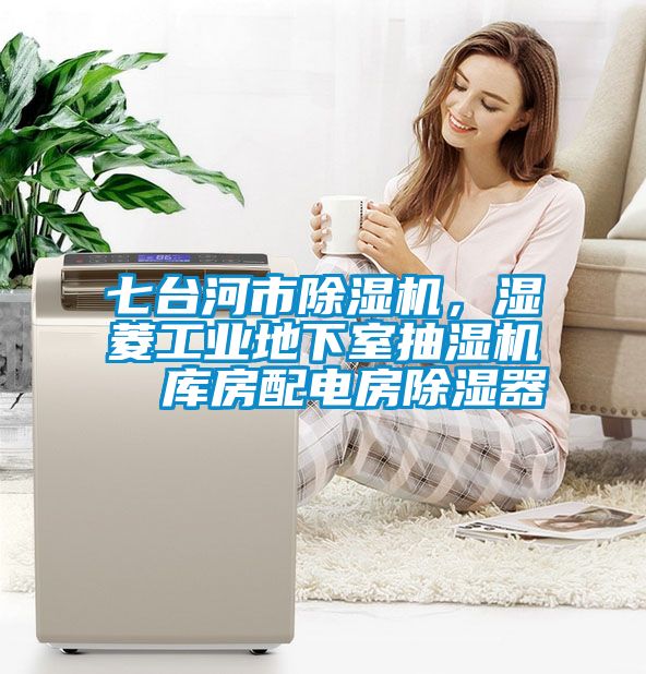 七臺河市除濕機，濕菱工業(yè)地下室抽濕機  庫房配電房除濕器