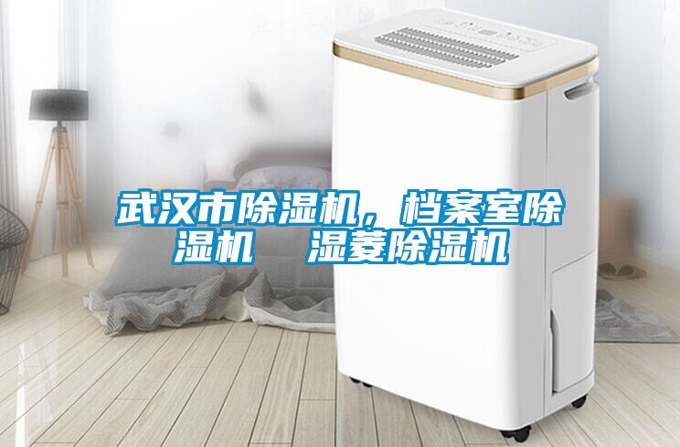 武漢市除濕機，檔案室除濕機  濕菱除濕機