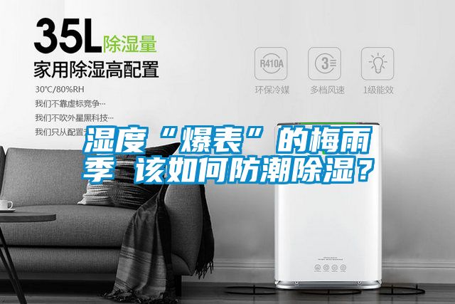 濕度“爆表”的梅雨季 該如何防潮除濕？