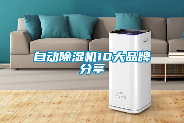自動(dòng)除濕機10大品牌分享