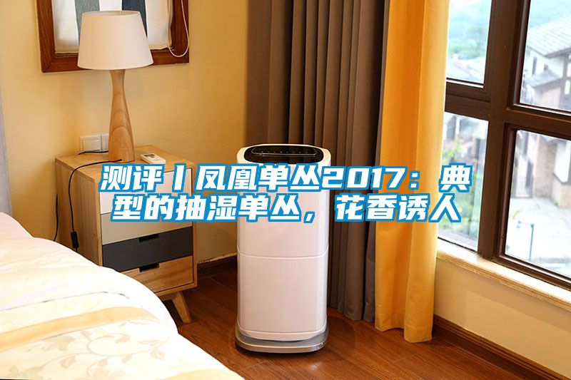 測評丨鳳凰單叢2017：典型的抽濕單叢，花香誘人