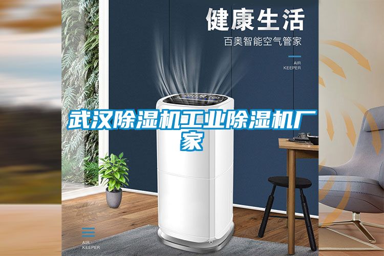 武漢除濕機工業(yè)除濕機廠(chǎng)家