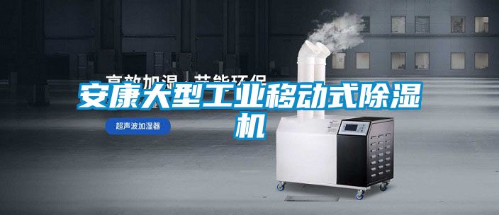 安康大型工業(yè)移動(dòng)式除濕機