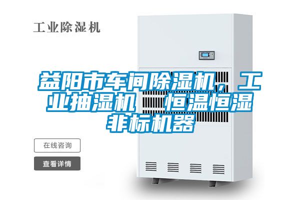 益陽(yáng)市車(chē)間除濕機，工業(yè)抽濕機  恒溫恒濕非標機器