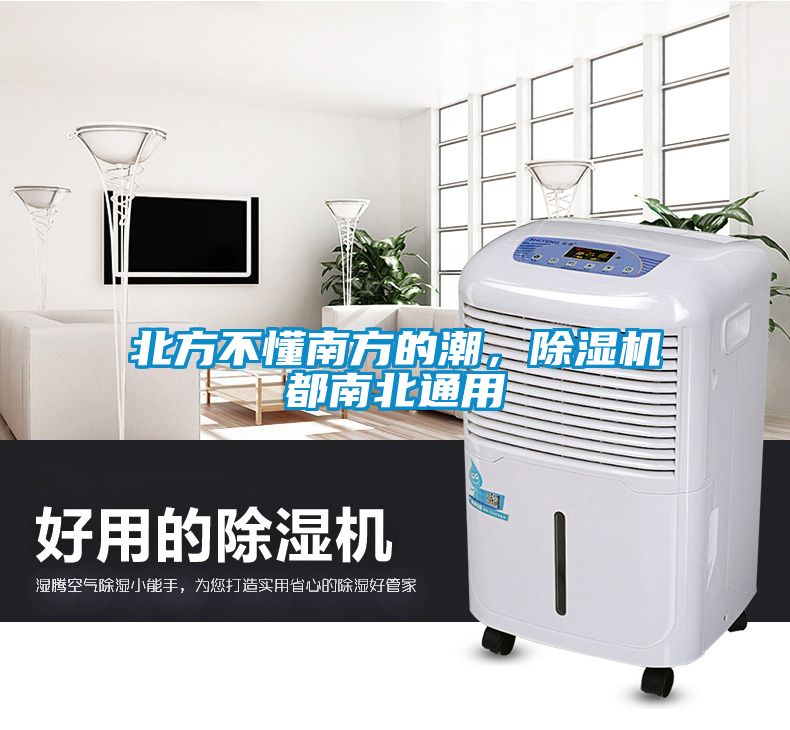 北方不懂南方的潮，除濕機都南北通用