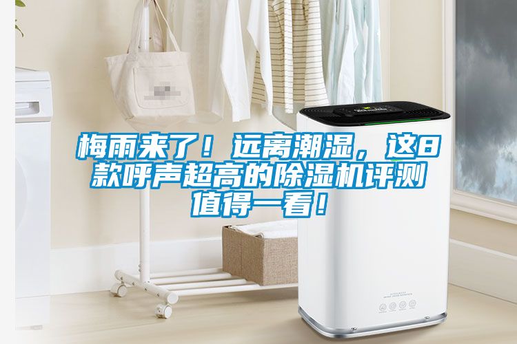 梅雨來(lái)了！遠離潮濕，這8款呼聲超高的除濕機評測值得一看！