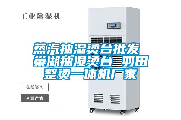 蒸汽抽濕燙臺批發(fā) 巢湖抽濕燙臺 羽田整燙一體機廠(chǎng)家