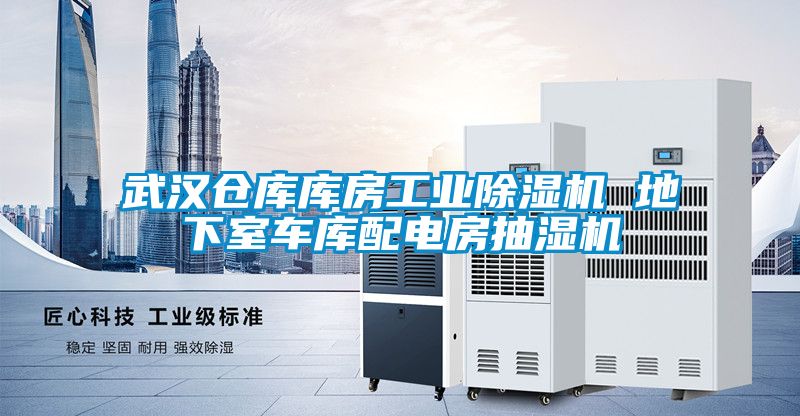武漢倉庫庫房工業(yè)除濕機 地下室車(chē)庫配電房抽濕機
