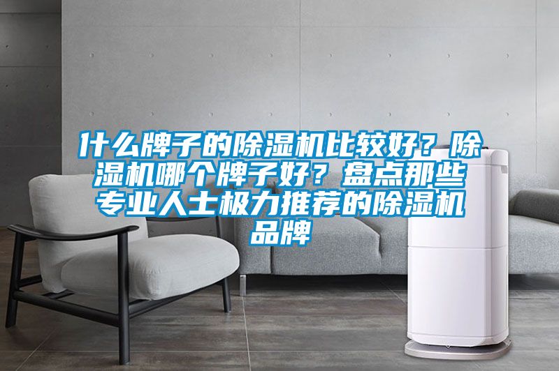 什么牌子的除濕機比較好？除濕機哪個(gè)牌子好？盤(pán)點(diǎn)那些專(zhuān)業(yè)人士極力推薦的除濕機品牌