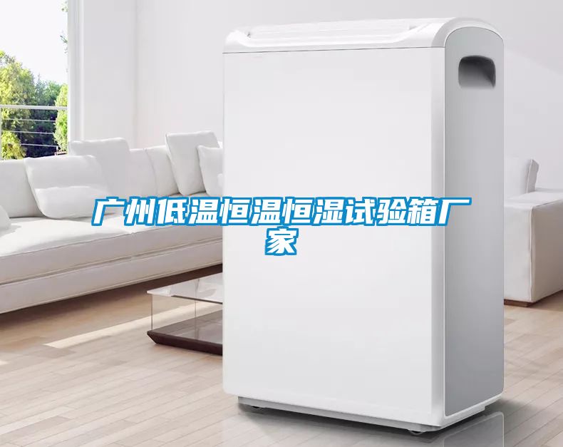 廣州低溫恒溫恒濕試驗箱廠(chǎng)家