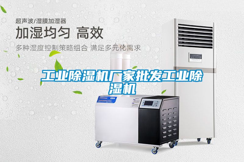 工業(yè)除濕機廠(chǎng)家批發(fā)工業(yè)除濕機