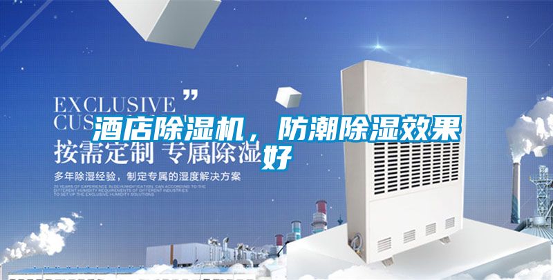 酒店除濕機，防潮除濕效果好