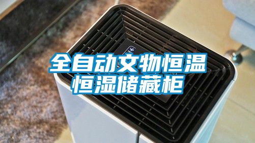 全自動(dòng)文物恒溫恒濕儲藏柜