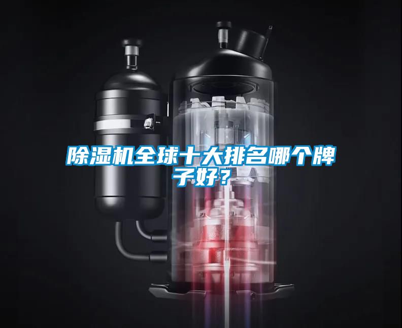 除濕機全球十大排名哪個(gè)牌子好？