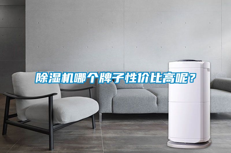 除濕機哪個(gè)牌子性?xún)r(jià)比高呢？