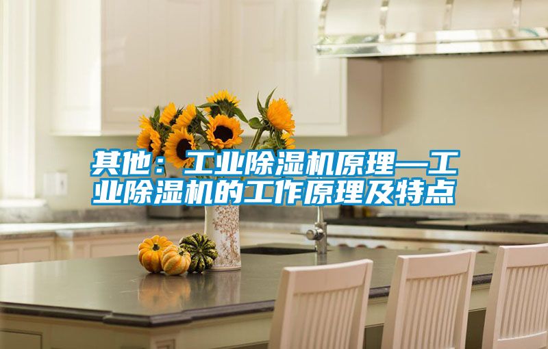 其他：工業(yè)除濕機原理—工業(yè)除濕機的工作原理及特點(diǎn)