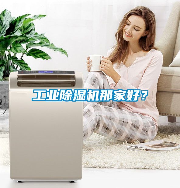 工業(yè)除濕機那家好？