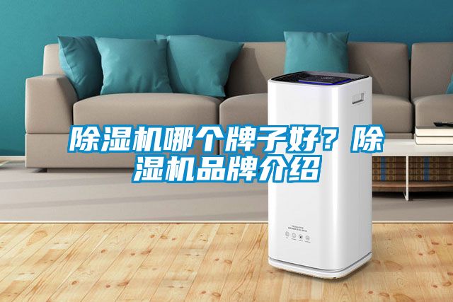 除濕機哪個(gè)牌子好？除濕機品牌介紹