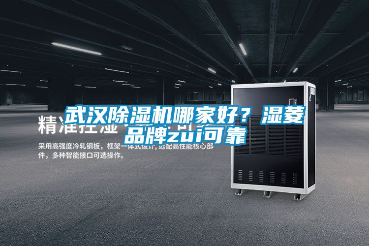 武漢除濕機哪家好？濕菱品牌zui可靠