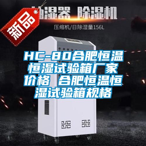 HC-80合肥恒溫恒濕試驗箱廠(chǎng)家價(jià)格 合肥恒溫恒濕試驗箱規格