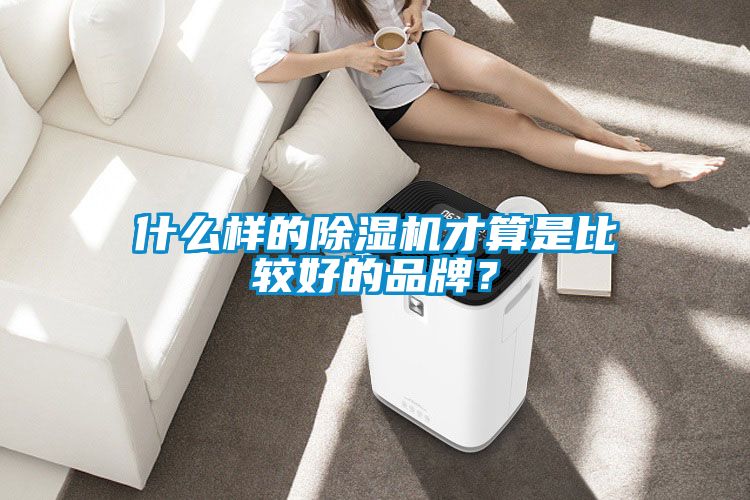 什么樣的除濕機才算是比較好的品牌？