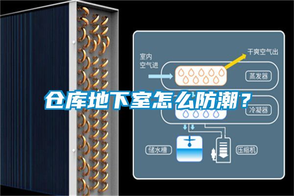 倉庫地下室怎么防潮？