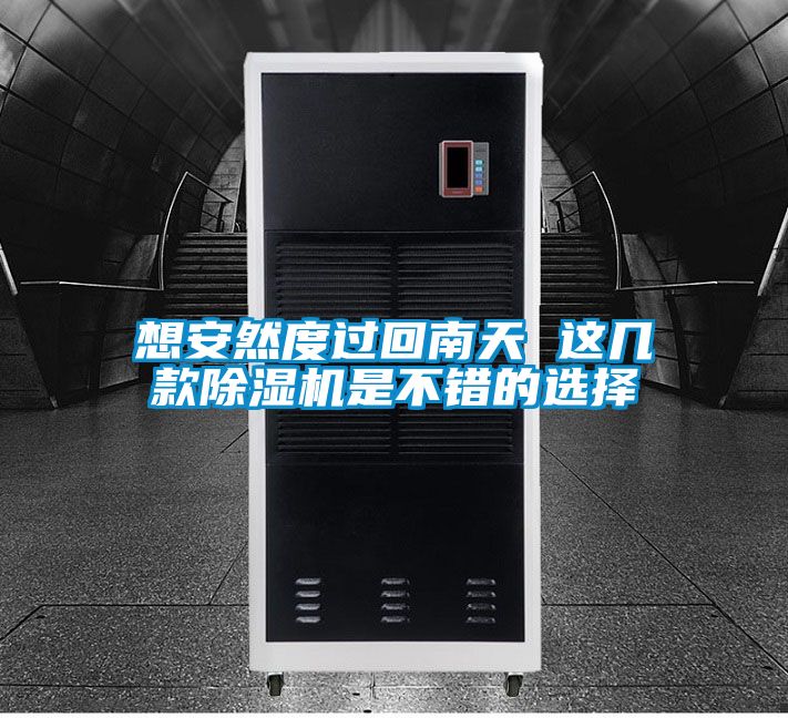 想安然度過(guò)回南天 這幾款除濕機是不錯的選擇